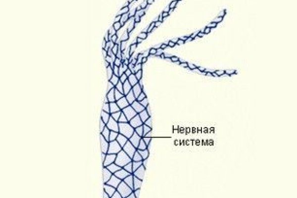 Настоящий сайт kraken
