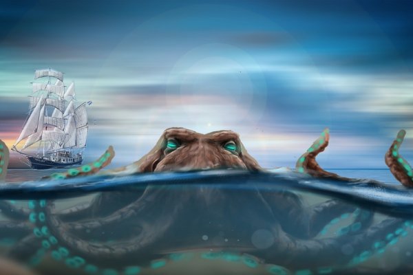 Kraken whitenet ссылка