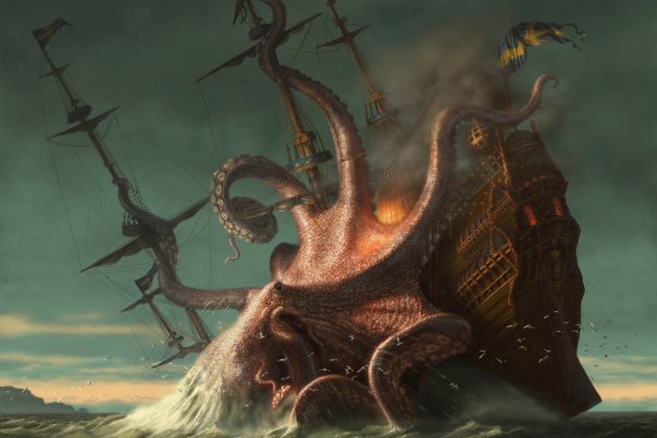 Kraken whitenet tor