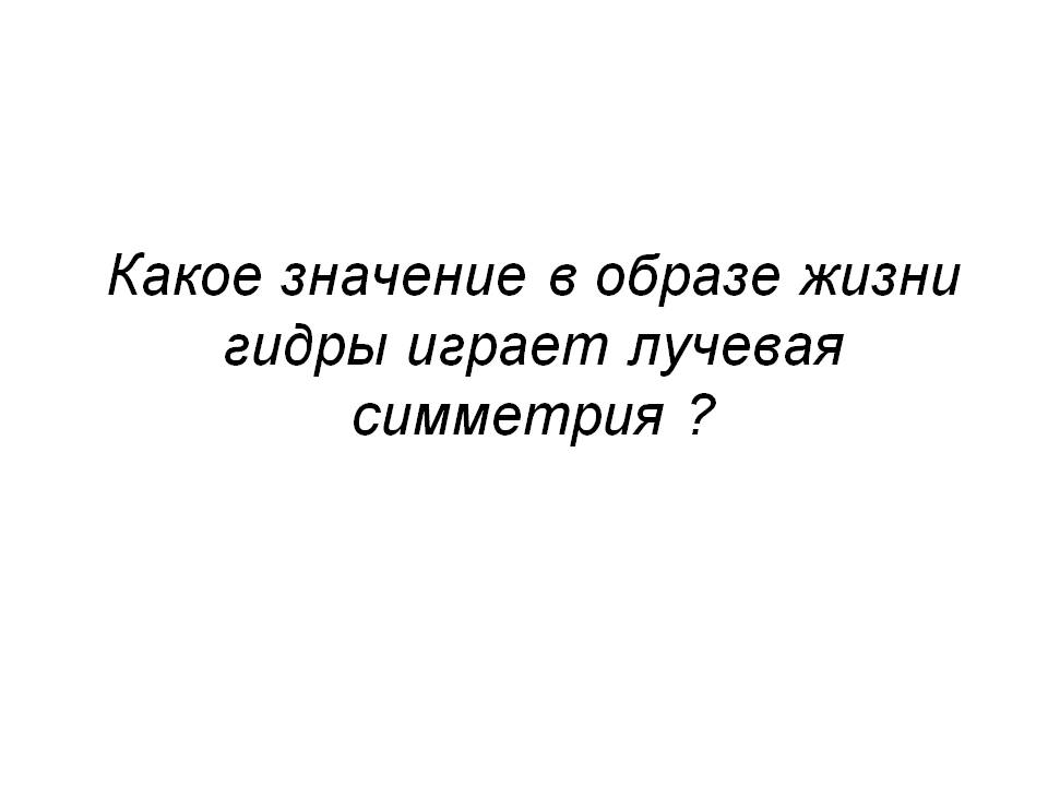 Кракен сайт что это